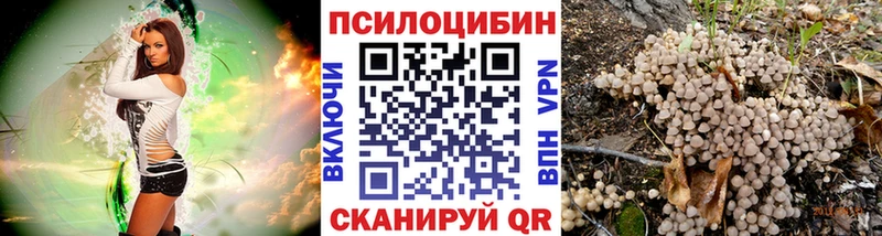 Галлюциногенные грибы мухоморы  сайты даркнета Telegram  kraken маркетплейс  Ишим  где купить  
